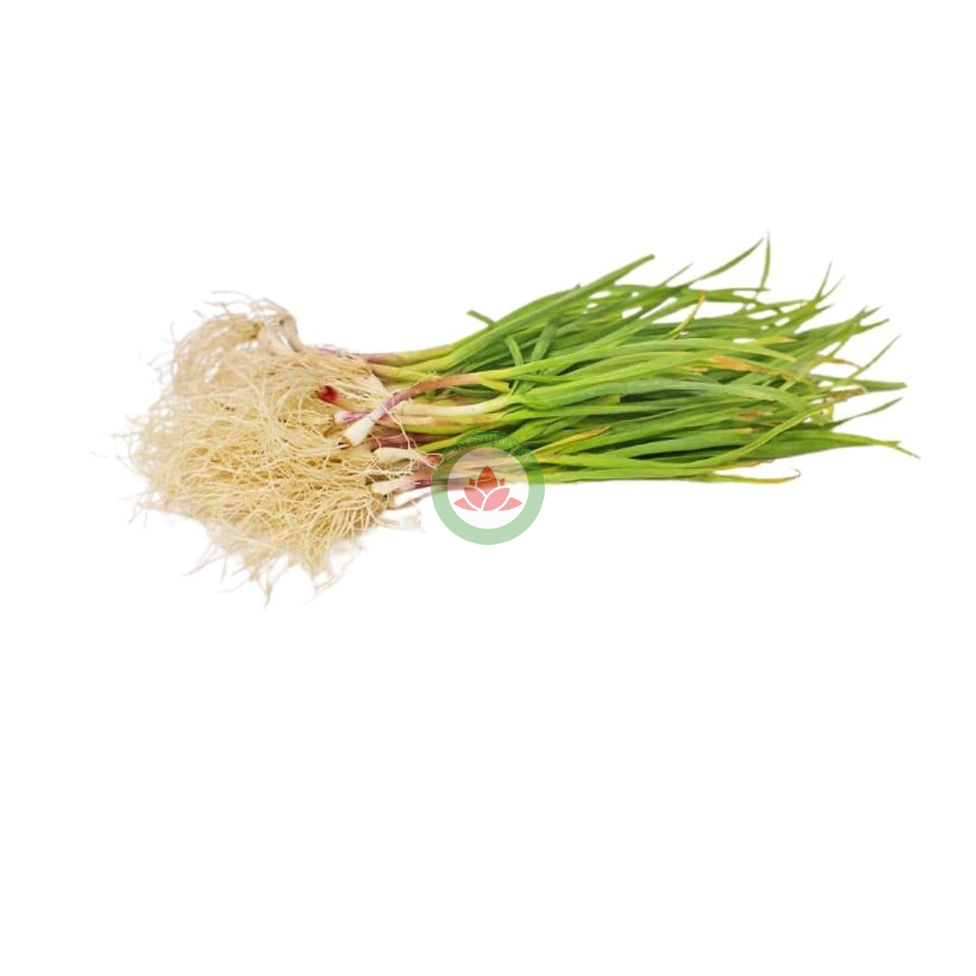 Green Garlic 1Bunch – Swadesh Grocery