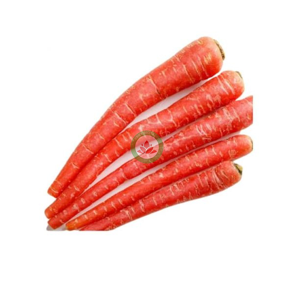 Indian Carrot lb